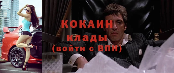 твердый Алексин