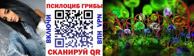 Псилоцибиновые грибы Psilocybine cubensis  Спас-Клепики 